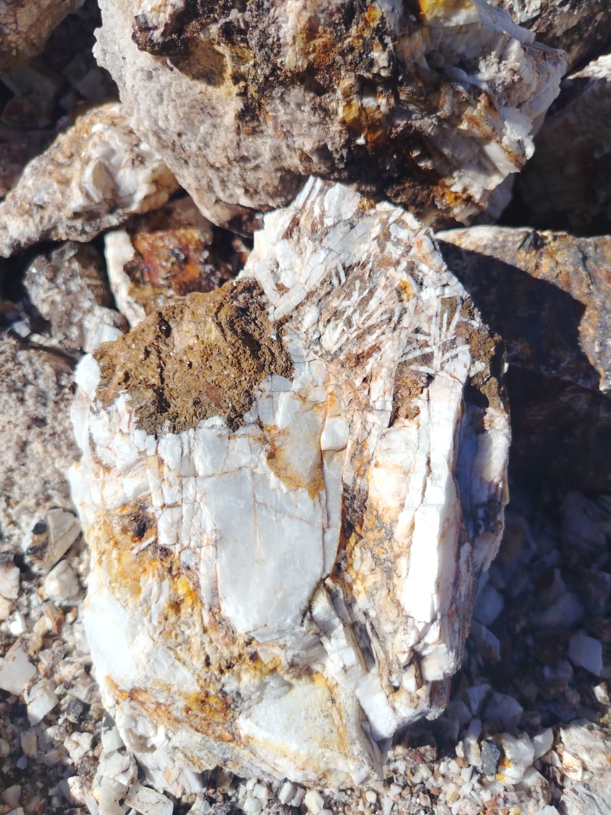 Muestra de Sulfato de Bario